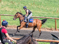 PH020922-59 - 3rd Lot on the gallops